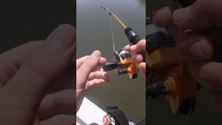 Fishing for bait Stealers!