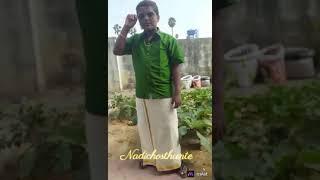 #mAstapp #trending #viral #sree the explorer