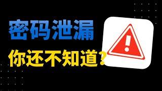 密码被泄漏了？紧急救援指南帮你恢复安全