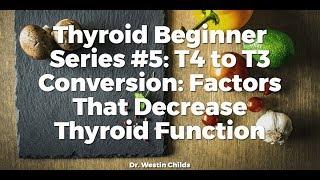 (TBS #5) T4 to T3 Conversion: Factors That Decrease Thyroid Function