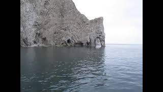 Bempton Cliff - sea bird nesting colony