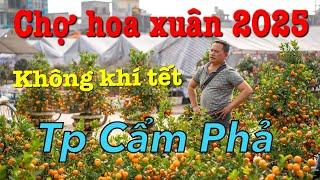 Không khí tết chợ hoa xuân 2025 - Tp Cẩm Phả - Quảng Ninh