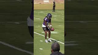 New Ravens WR Diontae Johnson models "Purple Rising" helmet