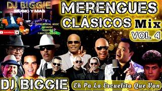 MIX MERENGUE CLASICO BAILABLE  DE LOS 80 Y 90 MIX VOL 4 DJ BIGGIE