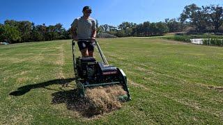 Mini Lawn Renovation and Sprigging Tiftuf