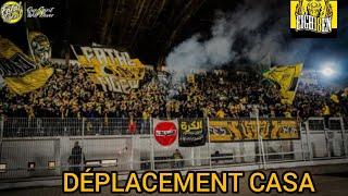 PARKAGE - AMBIANCE - CRAQUAGE - ULTRAS FATAL TIGERS 06 A CASABLANCA | MAS VS WAC 