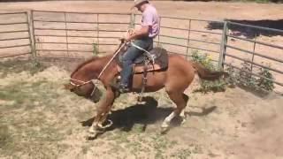 Bailey Barrett(15)/Bronc Pen/Smurf