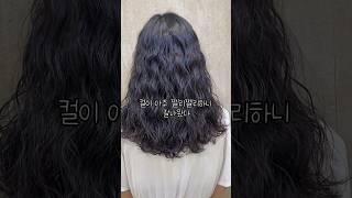 쩰리쩰리 쩰리펌영상