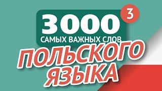   ПОЛЬСКИЕ СЛОВА – ЧАСТЬ #3 - 3000 самых важных слов 