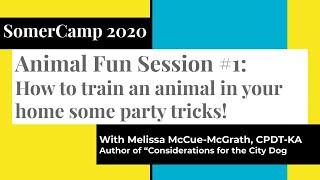 SomerCamp 2020: Animal Fun Week 1 - Train An Animal In Your Home!