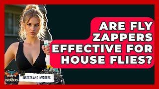 Are Fly Zappers Effective For House Flies? - Insects and Invaders