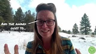 The Do's and Don'ts Of Transplanting Bonsai - Live From The Help Desk With Nikki