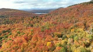 Warm Hues Sprawl Across Vermont as Fall Foliage Hits Peak Color