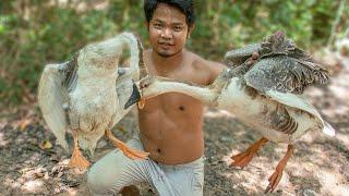 Amazing Catching Big Goose & Roasted Whole Goose Eating So Delicious