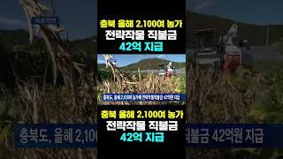 [한국농수산TV] 충북, 올해 2,100여 농가 전략작물 직불금... 42억 지급