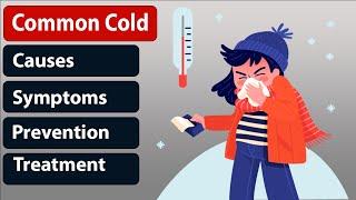 How To Treat Common Cold?