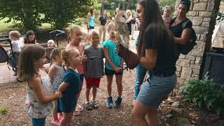 Interact with the birds at the Ohio Bird Sanctuary in Mansfield, Ohio.