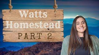 Home Being Built in the Woods of Tennessee - Watts Homestead - Part 2