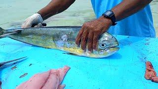 Fresh Mahi Mahi Fish Cutting Fast | Indian Ocean Fish Cutting In Maldives