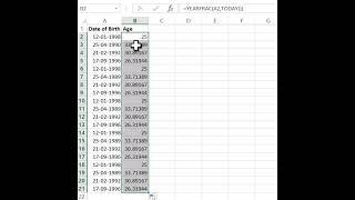 Calculate age from date of birth in Excel #shorts #excel #calculate #age #date #birth