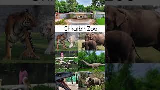 Top 15 tourist places in chandigarh #shorts  #chandigarh #travel #ytshorts #viral