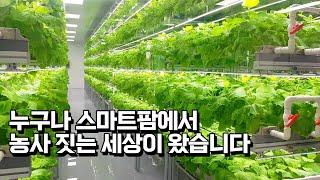 스마트팜 평당 시공비용은? 누구나 스마트팜으로 농장주가 되는 세상입니다.