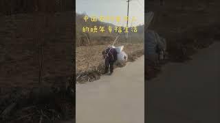 中国农村老年人的晚年幸福生活 #中国 #老年人 #农村 #辛苦