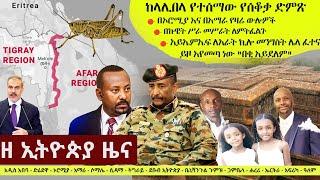 Ethiopia ዘ ኢትዮጵያ የዕለቱ ዜና | The Ethiopia Daily Ethiopia News October 27, 2024 | The Ethiopia Channel