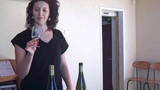 Waipara Springs Classic Riesling Tasting