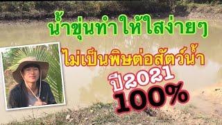 #น้ำบ่อขุ่นทำให้ใสง่ายๆ ไม่เป็นอันตรายต่อสัตว์น้ำ และปลาโตเร็วด้วย