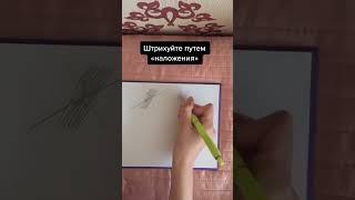 СОВЕТЫ НАЧИНАЮЩИМ ХУДОЖНИКАМ