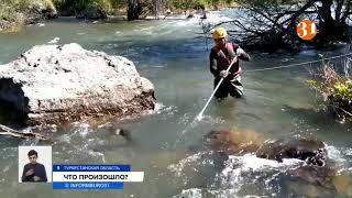 О возможных причинах гибели студентов в Туркестанской области рассказали спасатели