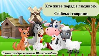 Хто живе поряд з людиною. Свійські тварини. Ознайомлення з природним довкіллям. Середня група