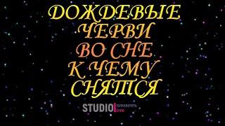 ТОЛКОВАТЕЛЬ СНОВ ~ ДОЖДЕВЫЕ ЧЕРВИ ВО СНЕ, К ЧЕМУ СНЯТСЯ  СОННИК.