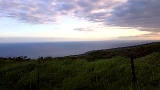 Moving grasses in the wind