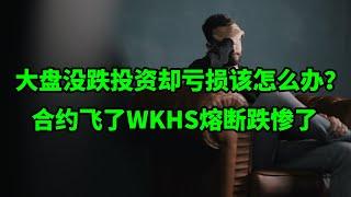 合约飞了Workhorse(WKHS)熔断跌惨了！大盘没跌投资却亏损说明什么？该怎么办？(每日观察20210223)