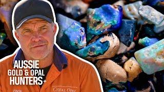 The Cheals Find $60,000 Worth Of Black Opal! | Outback Opal Hunters