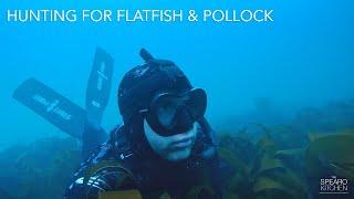 Spearfishing East Devon - Flounder Success & Amazing Dogfish Encounter