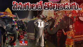 Special Story on Elephants in TTD Bramostavam | hmtv