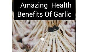 Incredible Health  Benefits of Garlic(Allium SATIVUM)