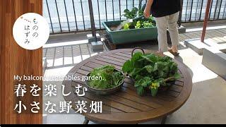 【 Spring joy 】The growth of lush plants gives me a lot of energy.#91