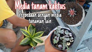 Membuat media tanam untuk kaktus dan sukulen