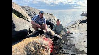 Outdoor Quest Ep#6 2023 Nunavut Walrus