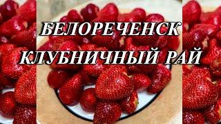 594ч Белореченский район это клубничный рай/Жизнь в посёлке Родники Белореченского района