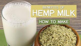 Benefits of Hemp Milk, 2 Reasons to Drink It | Plus How to Make