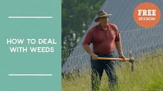 How to Deal with Weeds | Free Session from Joel Salatin's FarmLikeALunatic.com Farming Masterclass