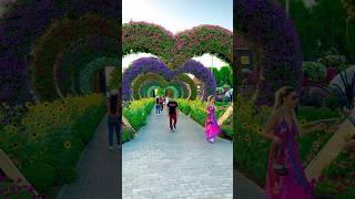 Miracle Garden Dubai #trending #garden #miraclegarden #nature #naturelovers #garden