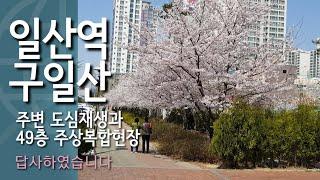 일산어반스카이현장 구도심의 변신은 무죄 49층 주상복합이 들어서는 일산역 구일산