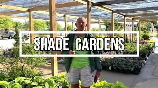 Best Plants for Shade | How to Create a Shade Garden | Shade Loving Plants