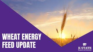 Wheat Energy Feed Update